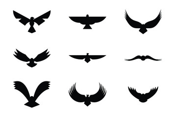 Fototapeta na wymiar Hawk Emblem Solid Icons Set