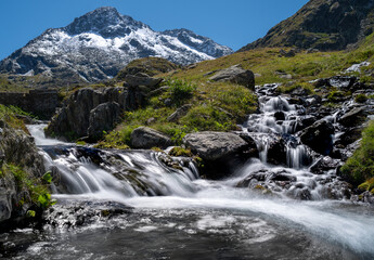 Am gro&szlig;en Sankt Bernhard im Sommer