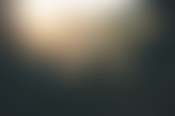 Dark green muted blur background decorated top low light. Toned shade. Outer defocus pattern. Abstract soft texture.