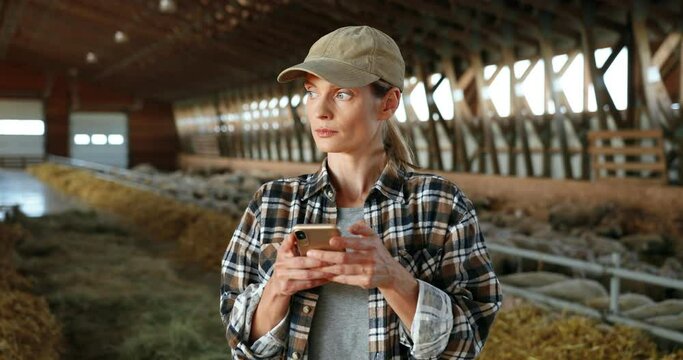 Young Caucasian woman using smartphone and working in farm stable. Female farmer tapping and scrolling on mobile phone in shed. Shepherd texting message on telephone. Farming concept.