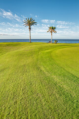 Campos de Golf