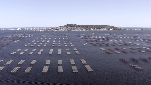 Aerial panorama of oyster tables in Bouzigues on the Thau lagoon, in H&eacute;rault in Occitanie, France