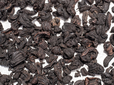 Flat lay image of Garcinia gummi-gutta commonly known as Malabar tamarind, white background.