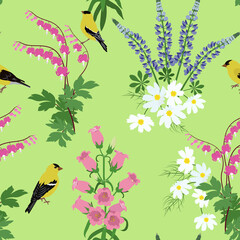 Seamless vector illustration with beautiful wildflowers and birds