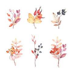 Watercolor autumn set of colorful leaves, branches and berries isolated on white background. Floral illustration for decor, posters, banner, holidays, greeting or invitation cards.