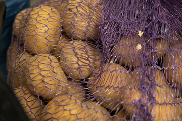close up of dried fish