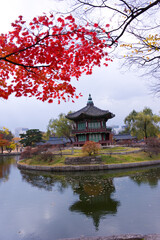 The scenery of Autumn,palace garden,Changdeokgung palace,Unesco World heritage,Seoul Korea.
