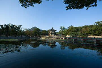 Obraz premium Changdeokgung Palace is the UNESCO World Cultural Heritage. Beautiful Secret Garden .