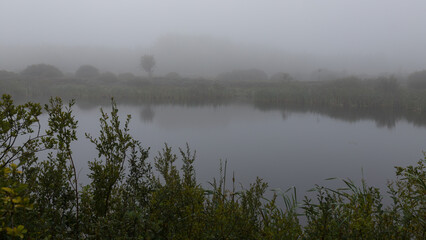 Kleiner See im Hohen Venn im Nebel.