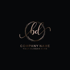 Obraz premium BD Initial handwriting logo template vector