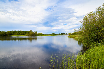 View of the lake water from the coast with trees and greenery, the horizon and blue sky with white clouds