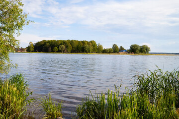 View of the lake water from the coast with trees and greenery, the horizon and blue sky with white clouds