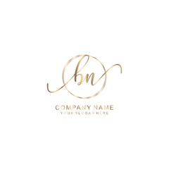 BN Initial handwriting logo template vector
