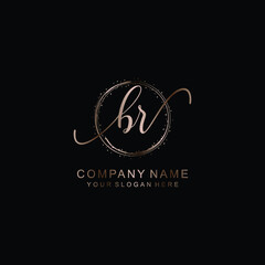 BR Initial handwriting logo template vector
