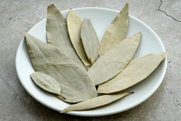 Bay leaves in the dish on a concrete worktop