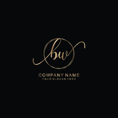 BW Initial handwriting logo template vector
