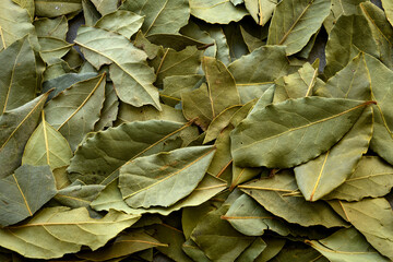 Pile of bay leaves on the table