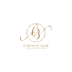 BZ Initial handwriting logo template vector
