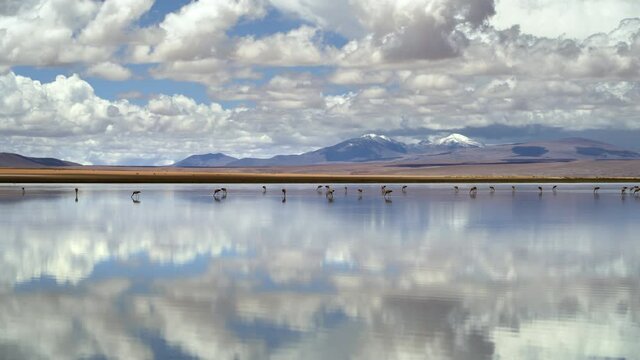 Salar de Chalviri, Bolivia, South America, panoramic view of unspoiled landscape in Eduardo Avaroa Andean Fauna National Reserve showing wild Andean flamingos in Laguna Chalviri.