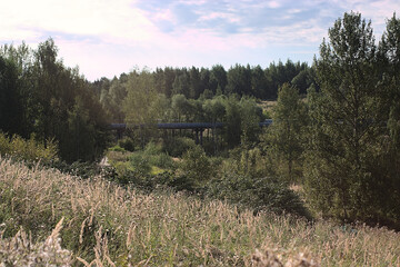 large heating pipes in the forest park