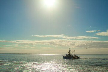 meer, abliefern, abendrot, boot, ozean, wasser, himmel, sonne, angeln, anreisen, sonnenaufgang, landschaft, blau, beach, cruise, horizont, natur, cargo, fahrzeuge, transport, beförderung, meerlandscha