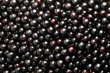 Food background - black currant berries texture