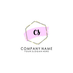 CS Initial handwriting logo template vector