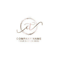 CT Initial handwriting logo template vector