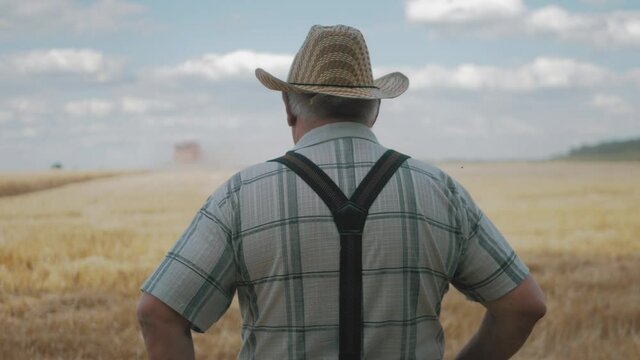 Senior man working in a wheat field. An elderly farmer in a hat walks along the ears of wheat. Harvester working in the background at sunset. The concept of agricultural work and harvesting.