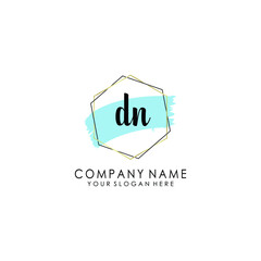 DN Initial handwriting logo template vector
