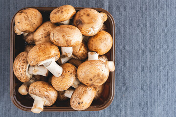 Mushrooms in plastic container close up on grey background, view from above, copy space