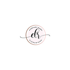 DR Initial handwriting logo template vector
