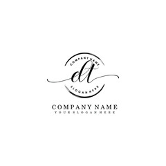 DT Initial handwriting logo template vector
