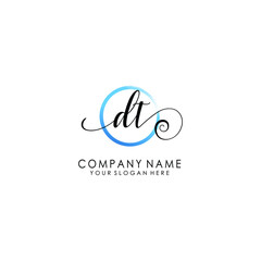 DT Initial handwriting logo template vector
