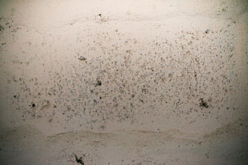 Abstract background from cement wall