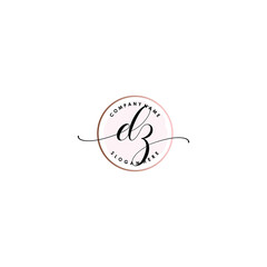 DZ Initial handwriting logo template vector
