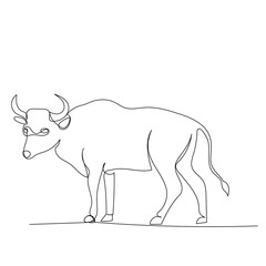 isolated, sketch, one line drawing bull