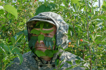 A man is hiding in the bushes. Camouflage, unshaven, foliage on the face.  Summer forest. Concept -...