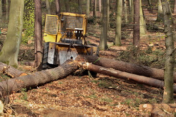 Fototapeta premium alter Forstschlepper zieht Baumstämme aus dem Wald