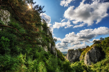 Dolina Bolechowicka, małopolska, jura krakowsko-częstochowska, lato, turystyka