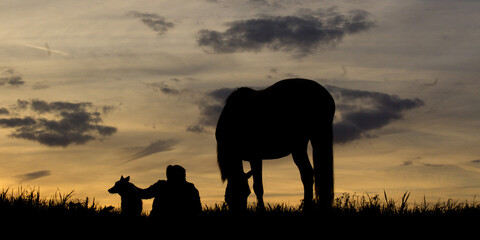 Fototapeta na wymiar coucher de soleil silhouette d'un cheval et d'un cavalier ou cavalière indian elephant