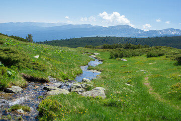 Fototapeta na wymiar A small stream in Rila, Bulgaria.