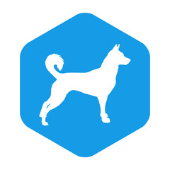 Razas de perros. Silueta de perro nórdico en hexágono color azul