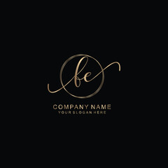 FE Initial handwriting logo template vector
