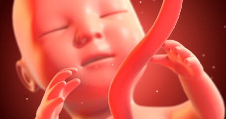 Human Baby Fetus Sleeping Peacefully Then Kicking. 3D Illustration Render. Science And Health Related High Quality 4K 3D Render