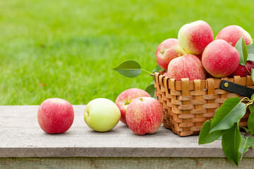 Ripe garden apple fruits in basket