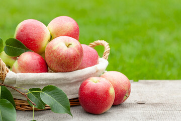 Ripe garden apple fruits in basket