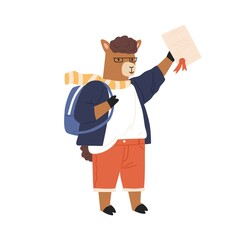 Animalistic childish character or lama cub student hold and demonstrate school graduation diploma. Smart animal pupil with backpack isolated on white. Flat vector cartoon illustration of cute llama