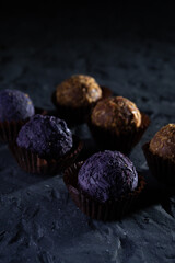 Colored round candies on a dark background