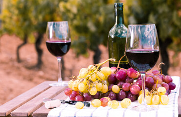 glass of  wine and ripe grapes on table in vineyard